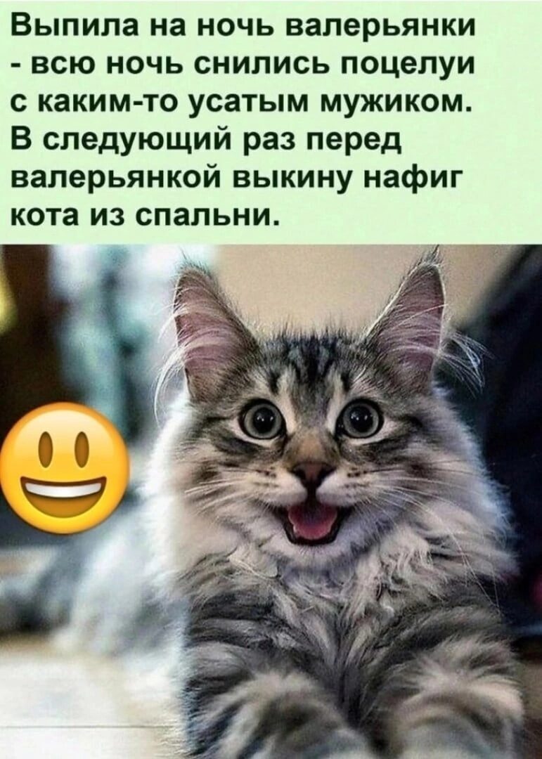 Случалось ли с вами такое? Принимаю любые добрые, юмористические и позитивные комментарии от милых дам и не только...