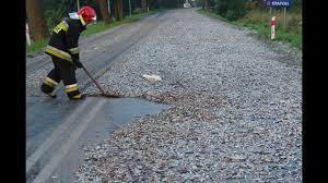 В июле на головы индусов обрушился рыбный ливень. С неба падали лягушки и другие обитатели водоемов