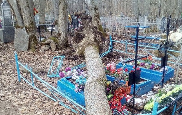 Приехали на кладбище и увидели сломанный памятник и погнутую оградку. Администрация послала нас лесом