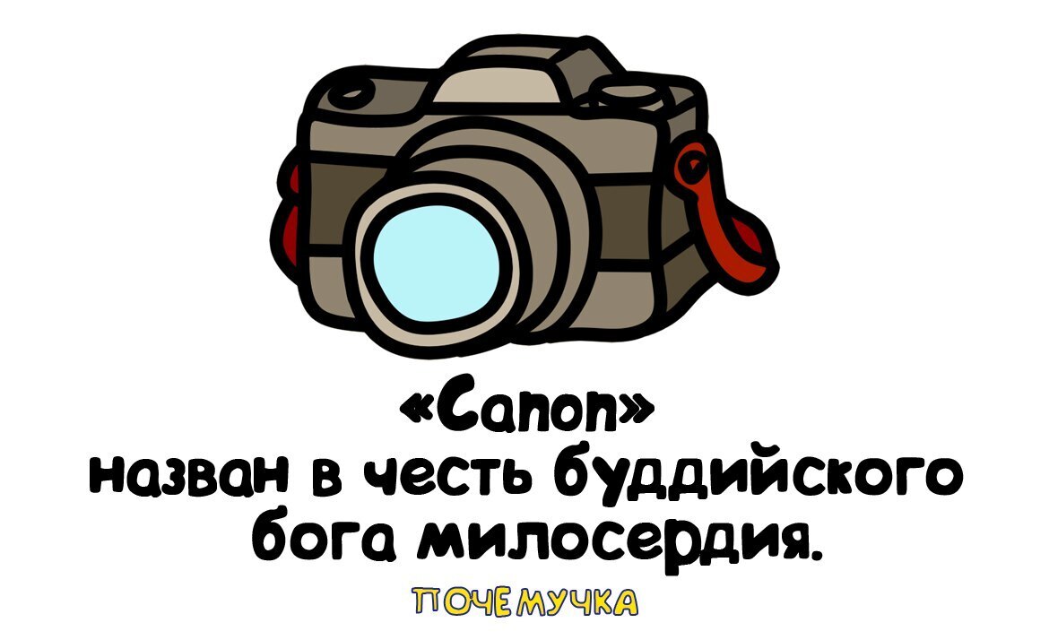 Самые интересные и неожиданные факты, простым языком в забавных картинках. Почемучка.