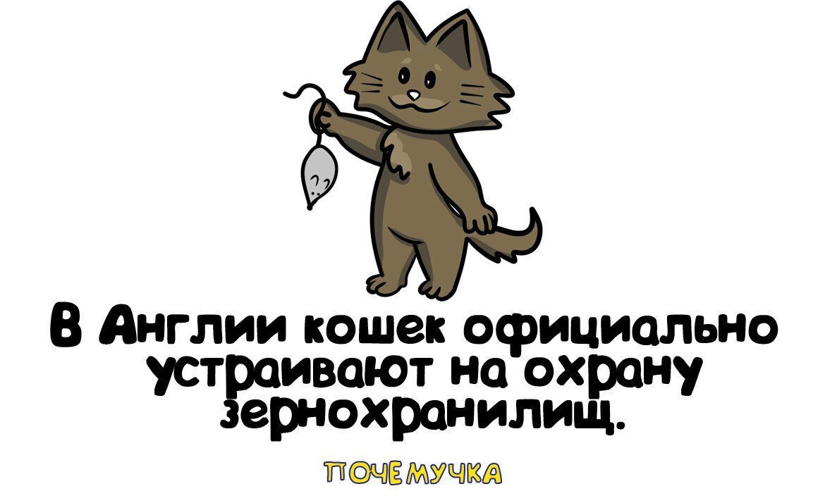 Самые интересные и неожиданные факты, простым языком в забавных картинках. Почемучка.