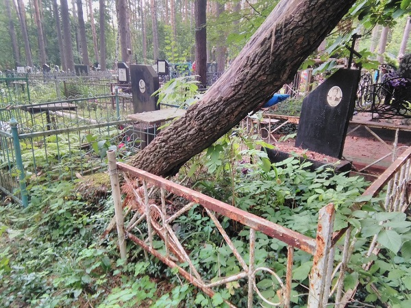 Приехали на кладбище и увидели сломанный памятник и погнутую оградку. Администрация послала нас лесом