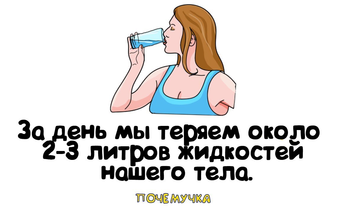 Самые интересные и неожиданные факты, простым языком в забавных картинках. Почемучка.