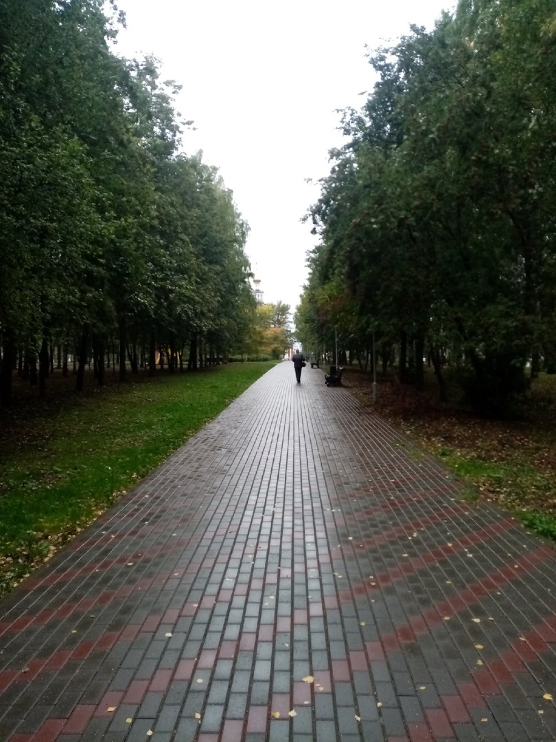 Есть ли у российских девушек шанс попасть на военную службу