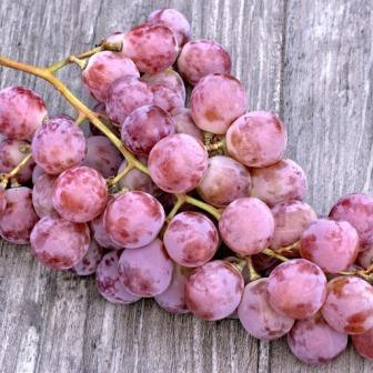 Удивительные совпадения: формы овощей напоминают органы человека. Полезные свойства для "органа-двойника"