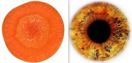 Удивительные совпадения: формы овощей напоминают органы человека. Полезные свойства для "органа-двойника"