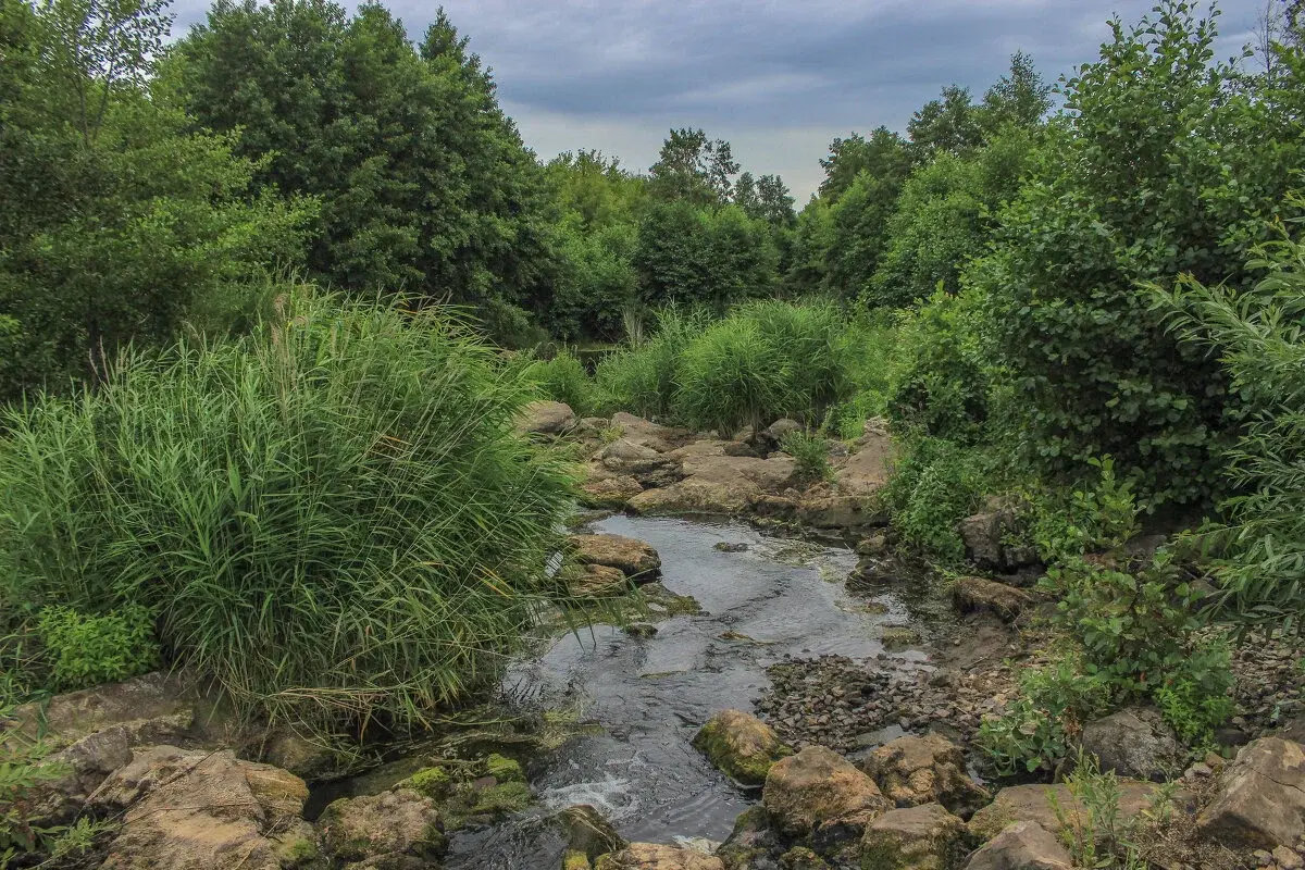 Стук в окно