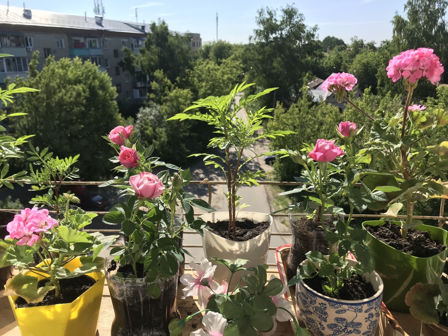 Сама садик я садила, сама буду поливать