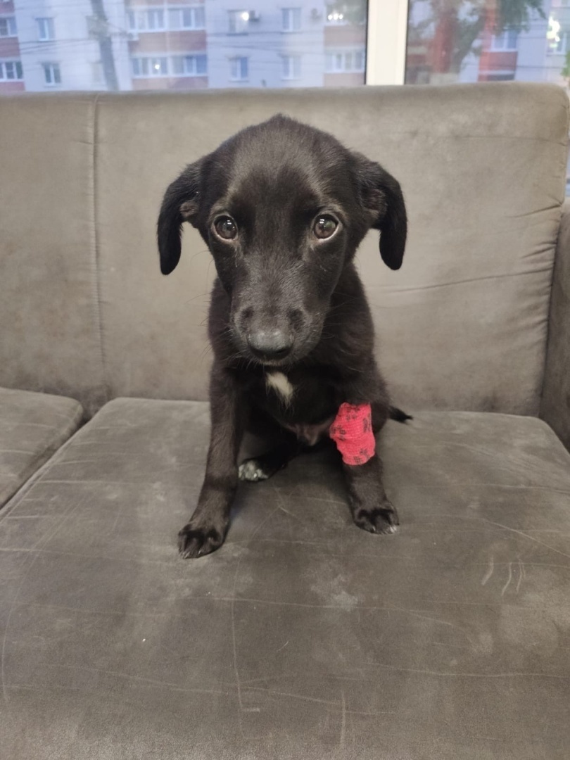 Дорогие подписчики, доверители,коллеги и друзья, прошу предать максимальной огласке данный пост!