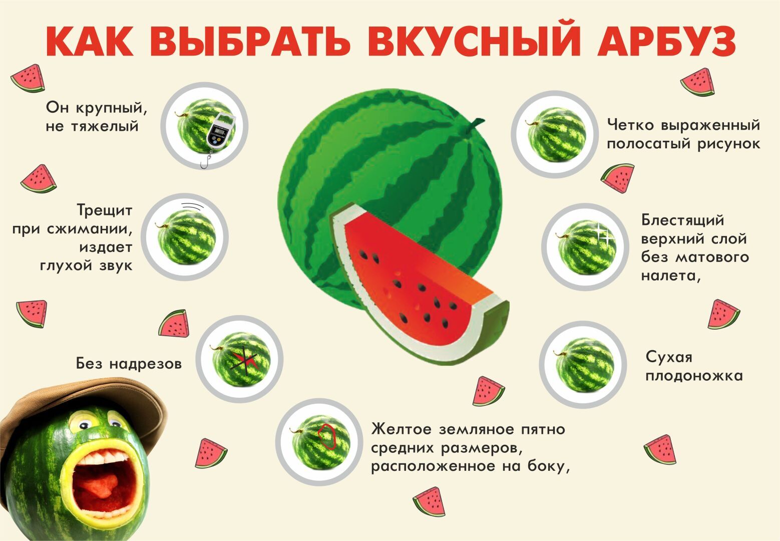 Как выбрать спелый и вкусный арбуз? Это проще, чем вы думаете