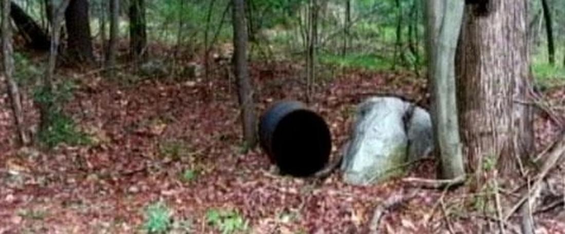 Внутри 55 литровой бочки обнаружил тела.