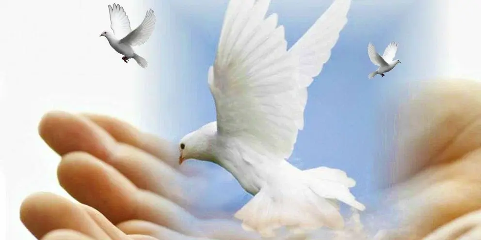 Продолжите афоризм