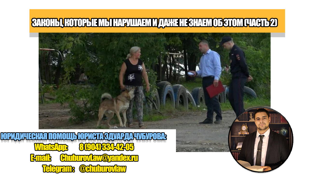 Как мы КАЖДЫЙ ДЕНЬ нарушаем ЗАКОН и даже не замечаем этого: четыре ситуации (часть 2)
