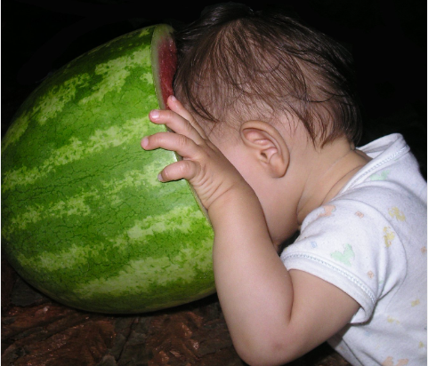 Ослиный огурец или несколько фактов об арбузе. 3 августа мир отмечает День арбуза