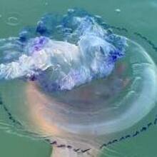 Анастасия, г. Сатка