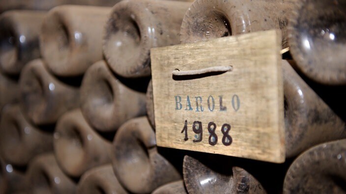 Существуют тысячи сортов винограда, но лишь немногие получили широкое распространение благодаря своему характерному вкусу и выносливости.