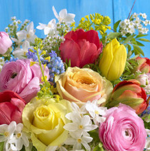 Нелли, г. Мурманск