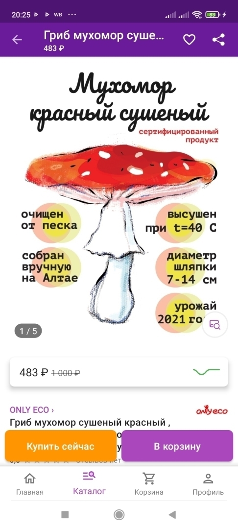 Вы будете смеяться, но употребление настойки мухомора помогло моему мужу снизить давление. Лечение мухоморами: польза или вред?