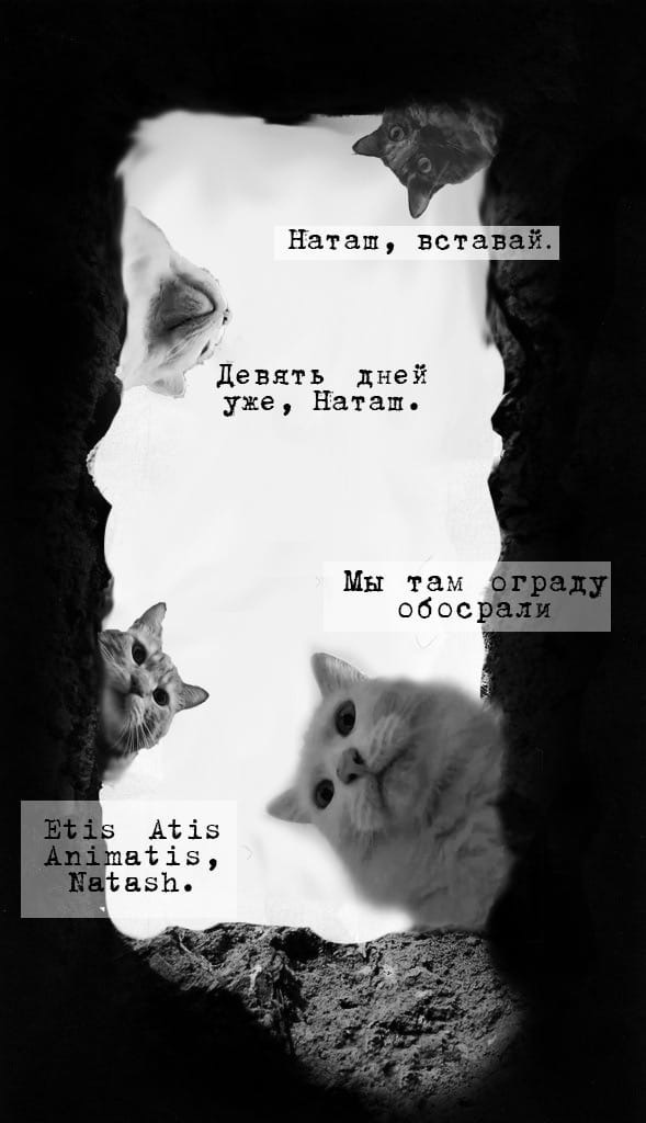 Черный юмор. Совершенно черный...