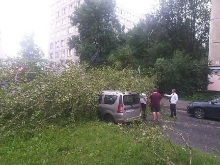 В Петербурге разгулялась стихия. Штормовой ветер сносил остановки, рвал электропровода и валил деревья на припаркованные машины