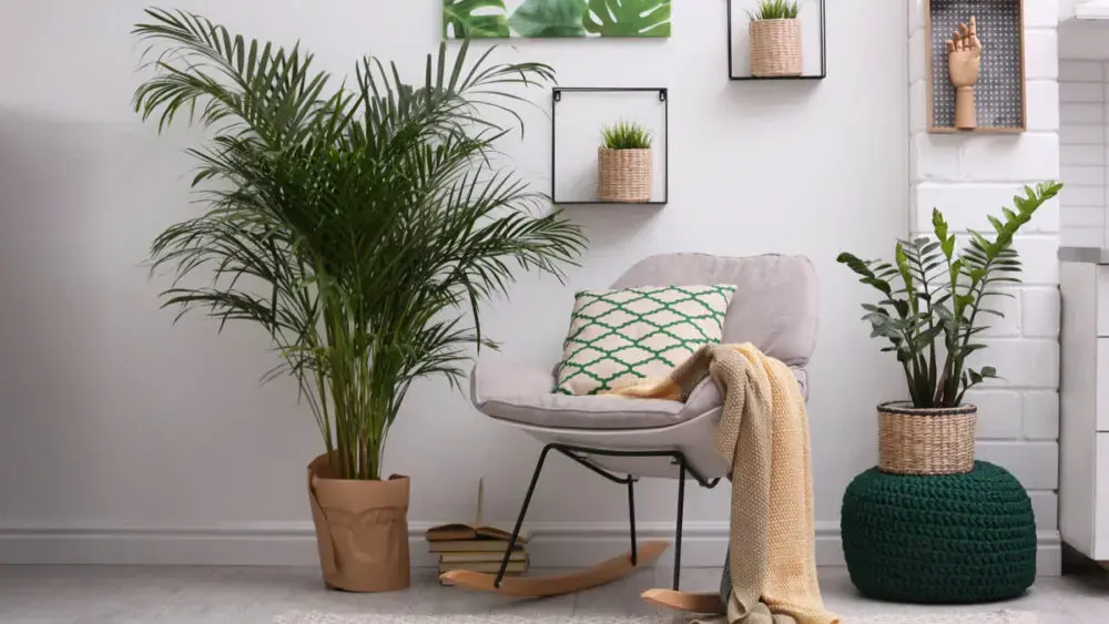 Как сделать ваш дом более экологичным