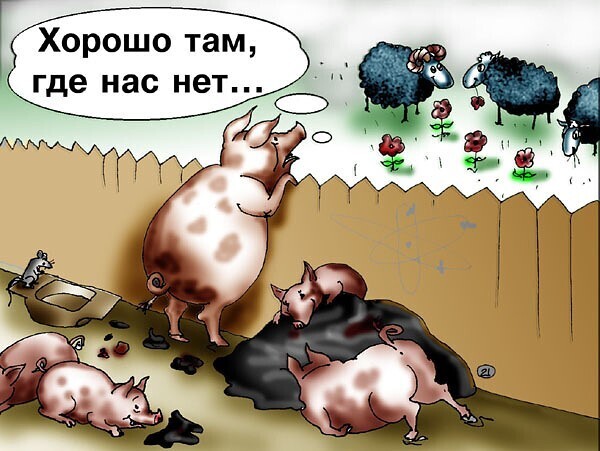 Российские спортсмены: голоса, вызывающие добрые чувства