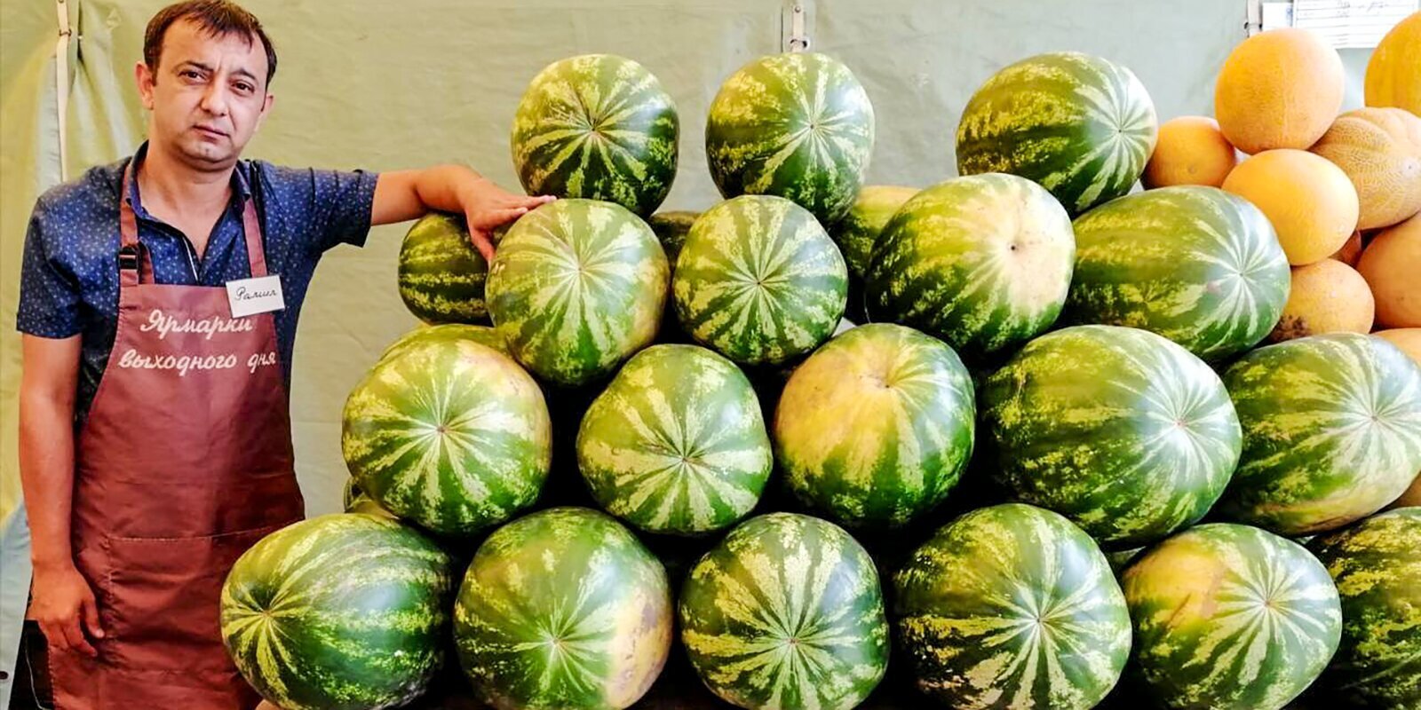 Как выбрать сладкий арбуз? Как выбрать сладкую спелую дыню. Советы в 2022 году.