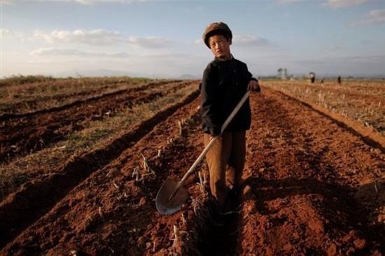 Когда-то Северная Корея была богаче Южной Кореи. Северная Корея была одной из самых богатых стран Азии. Поверите ли в это?