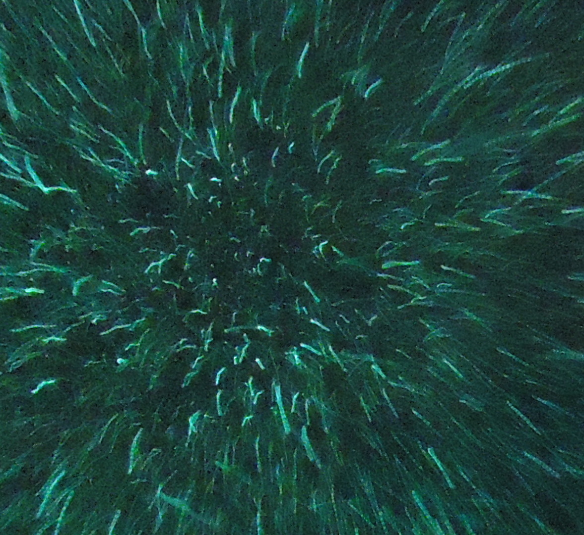 Имеете ли Вы абстрактное мышление?