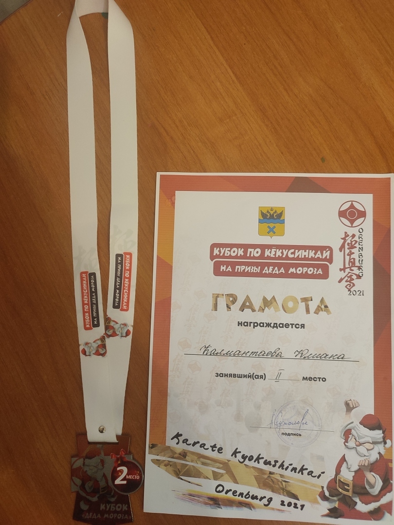 Как Вы относитесь к детскому боевому искусству?