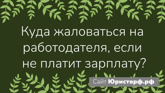 Куда жаловаться. если работодатель не платит зарплату
