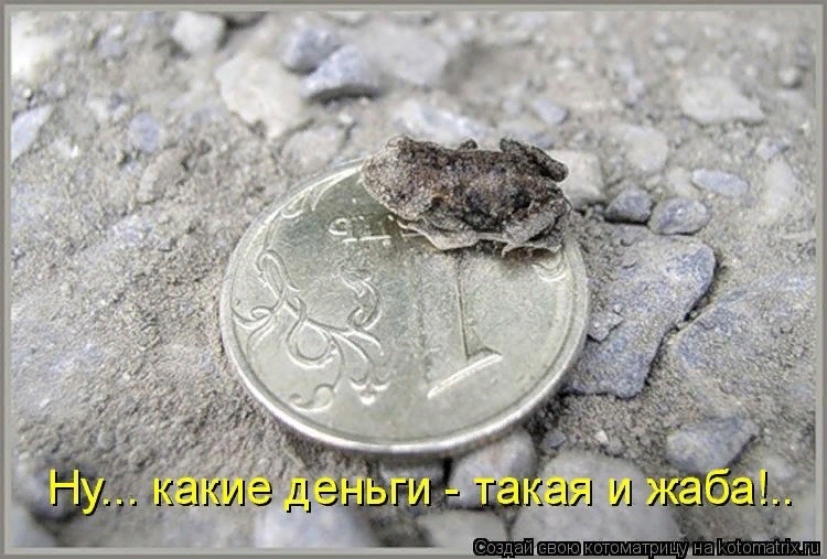 Денежные коты