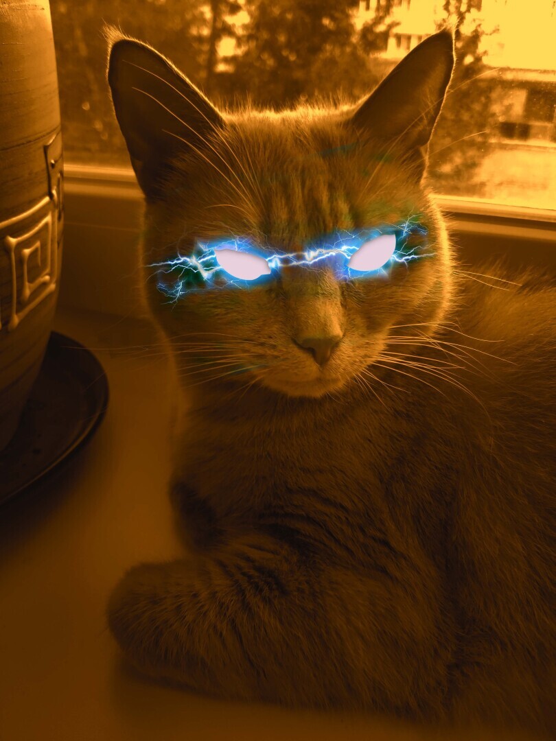 Чем отличается обувь