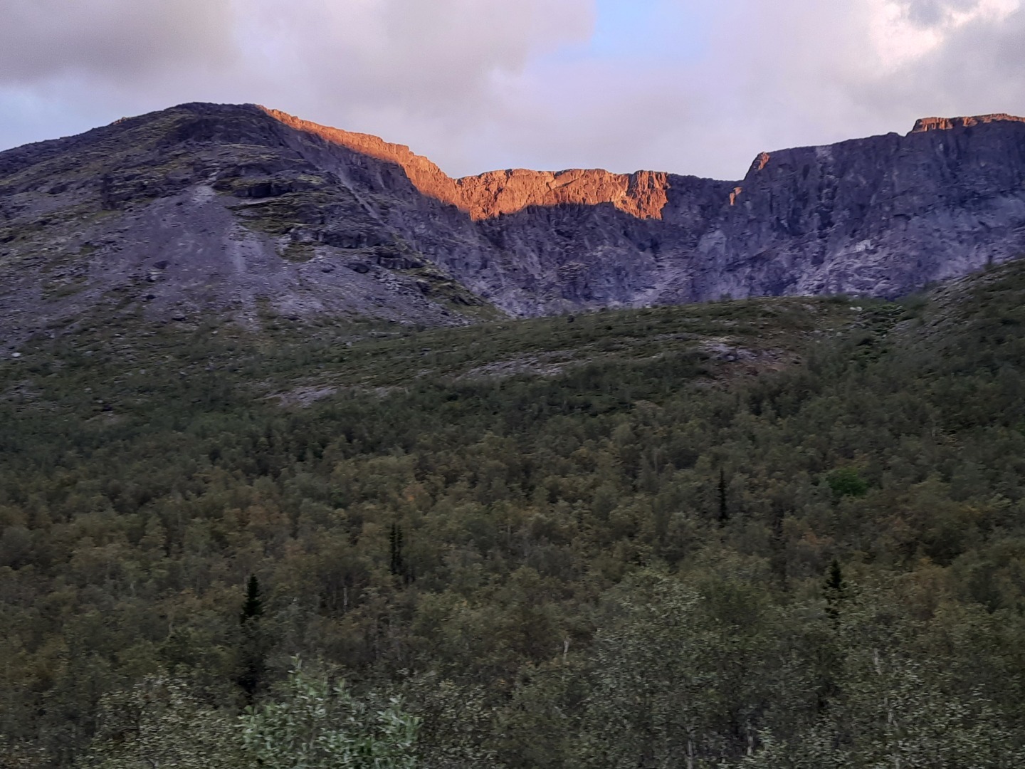 Жуть какая.