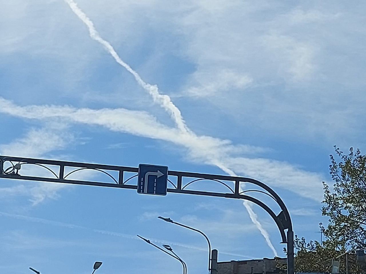 Да что ж такое? Опять нас опыляют!