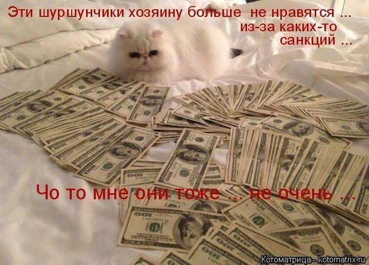 Денежные коты