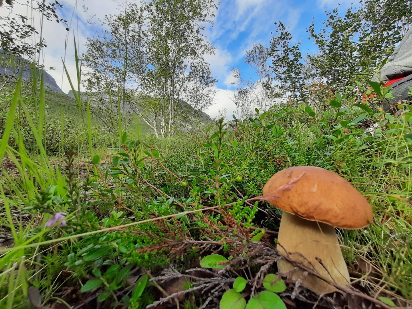 Все люди разные такие.