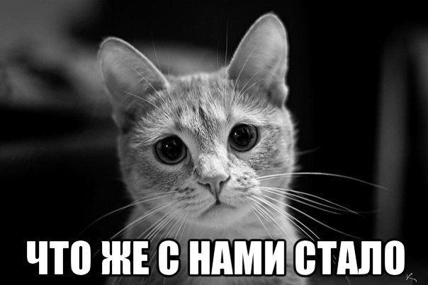 Черное всегда в этом мире было белым, а белое - черным?