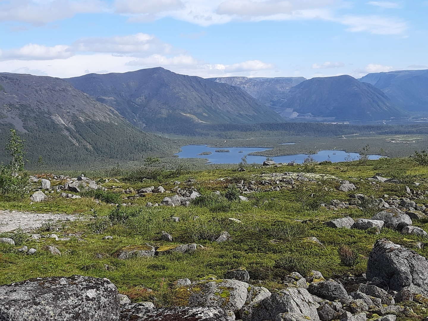 Месть усатых