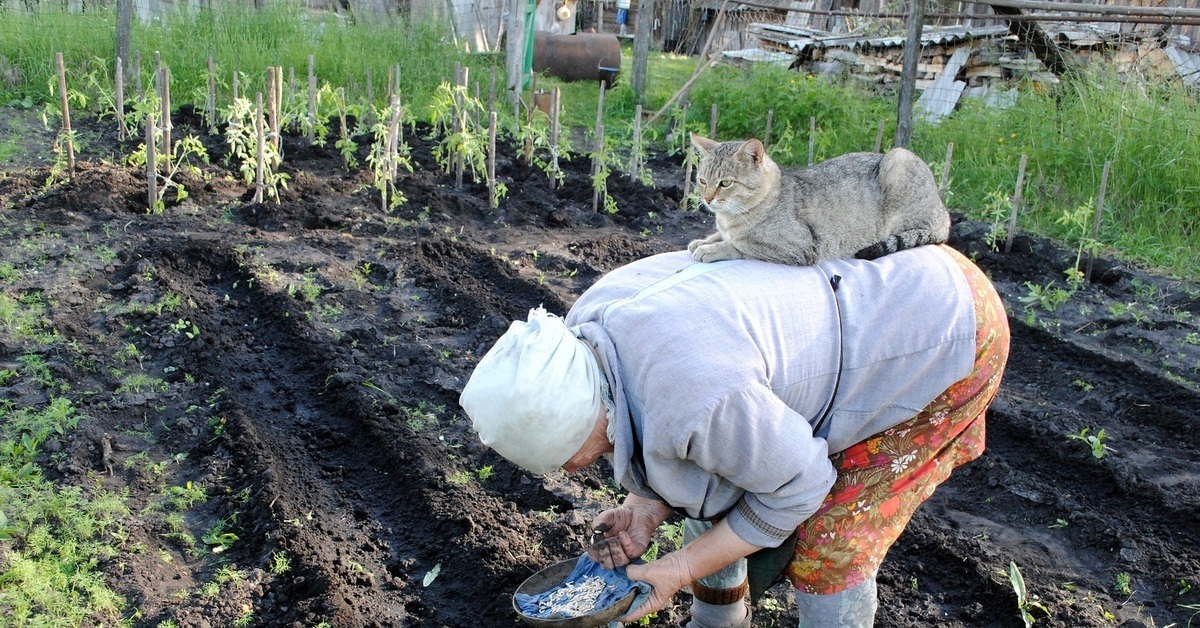 Соседская "любовь". Смешной случай из детства.