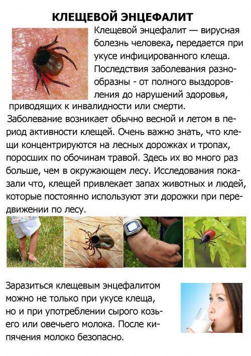 Вот тебе и "клещи" со смертельным исходом.