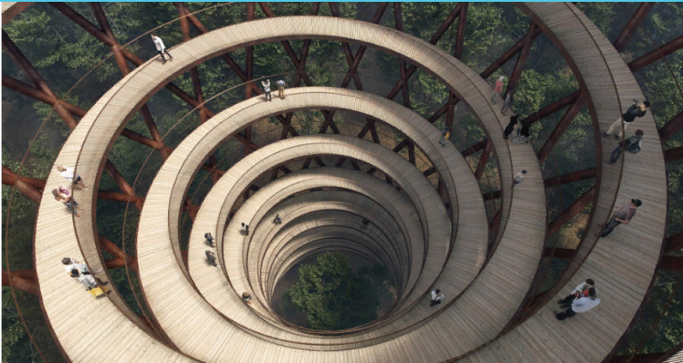 Красивая пешеходная тропа над деревьями.