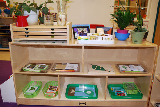 Монтессори тут не место!