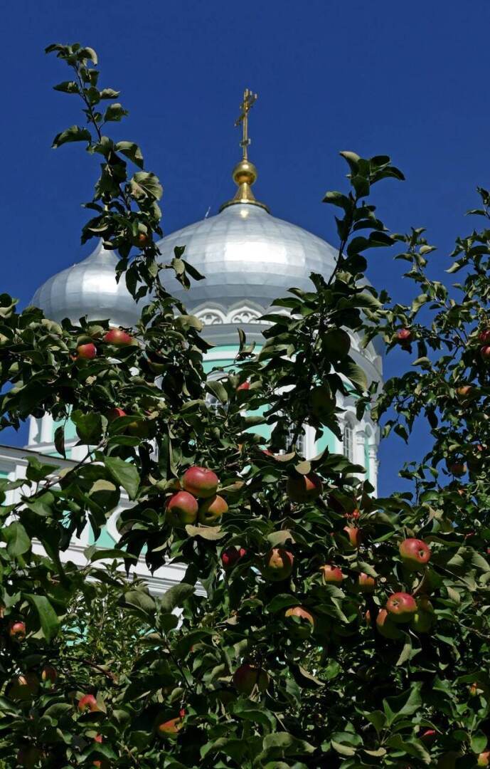 Что говорил о будущем России Серафим Саровский, наделенный даром прозорливости? И почему к нему не зарастает народная тропа?