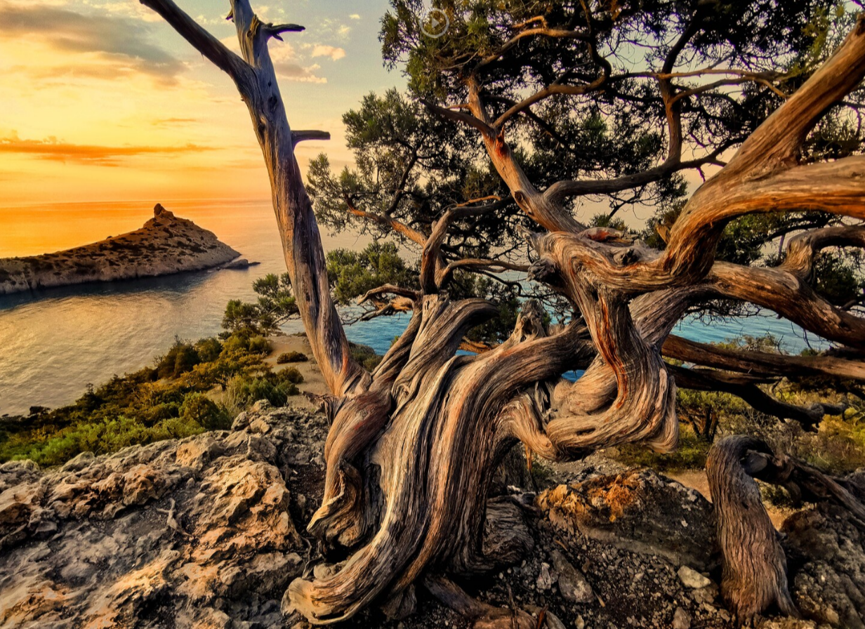 Умеете ли вы фотографировать?