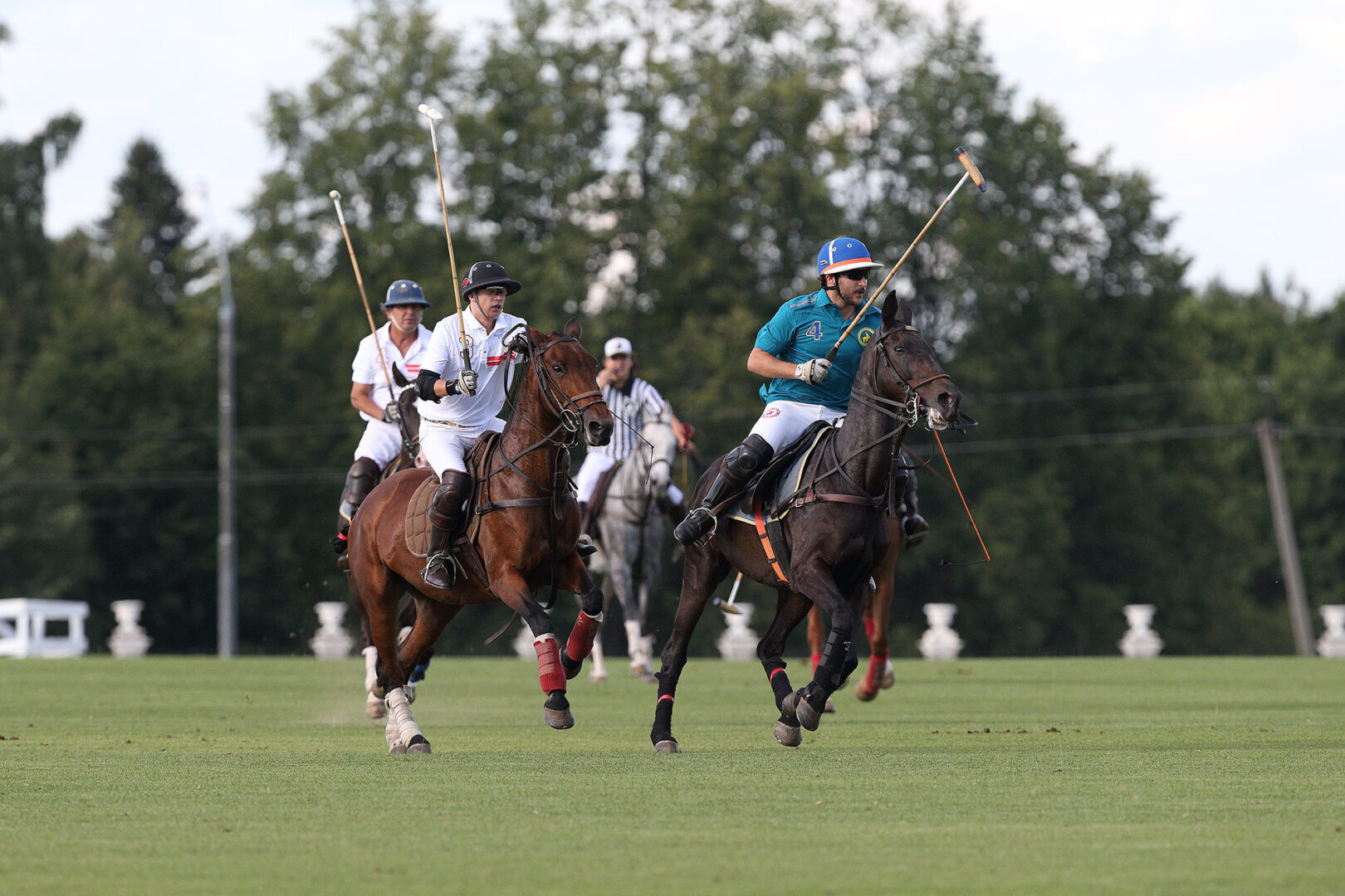 Различные виды конного спорта.Впечатляющие спортивные достижения лошадь и всадник.
