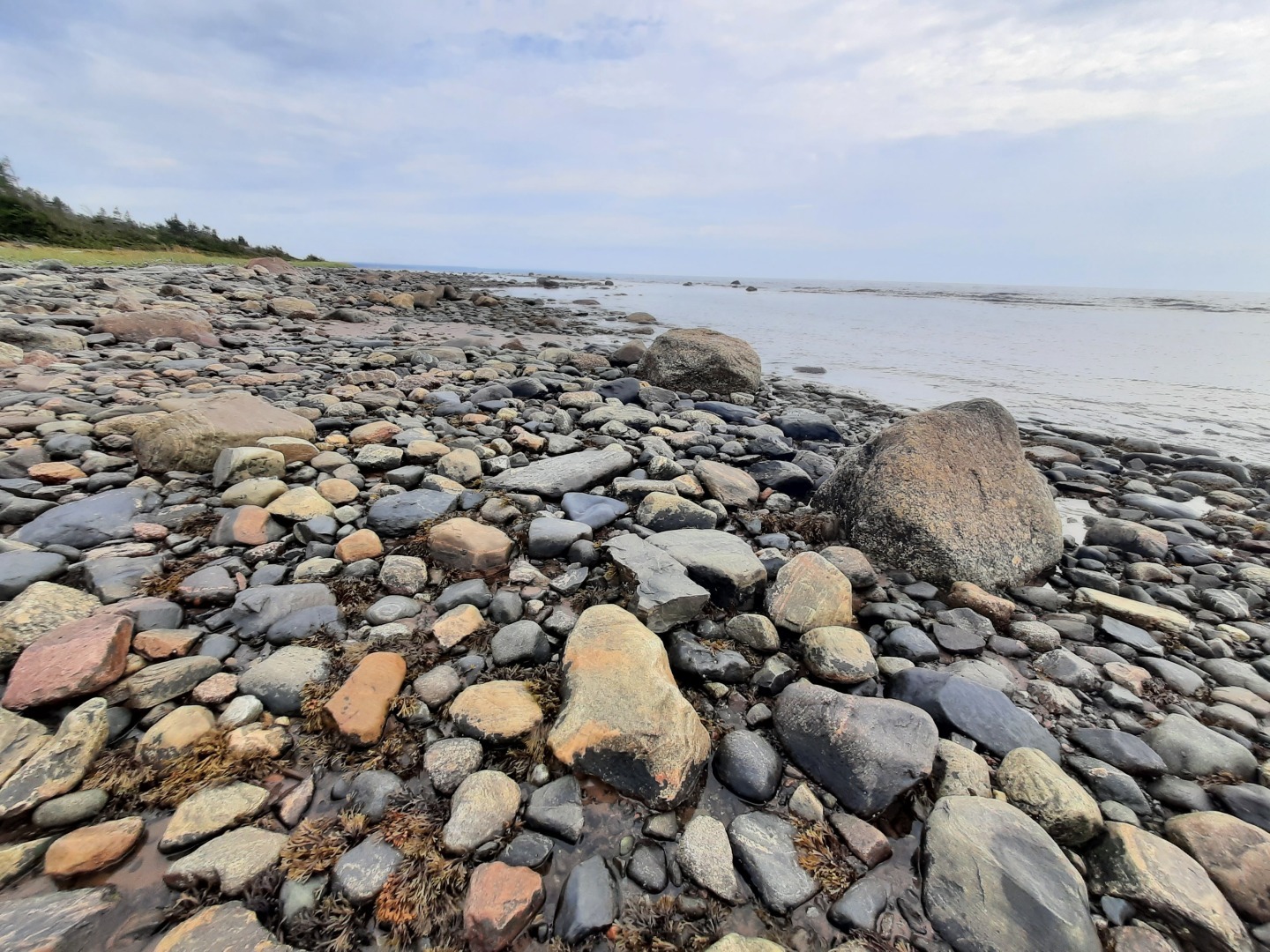 Море и люди.