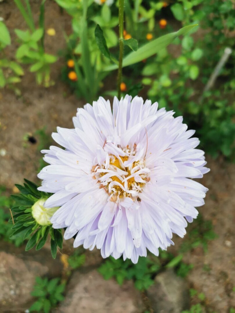 Стоит ли покупать дом в деревне?