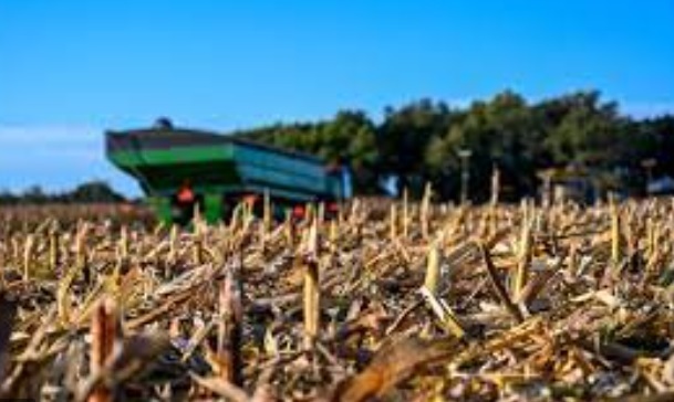 Николай Курдюмов: «Плугизация и химизация в земледелии – экономическая ловушка»