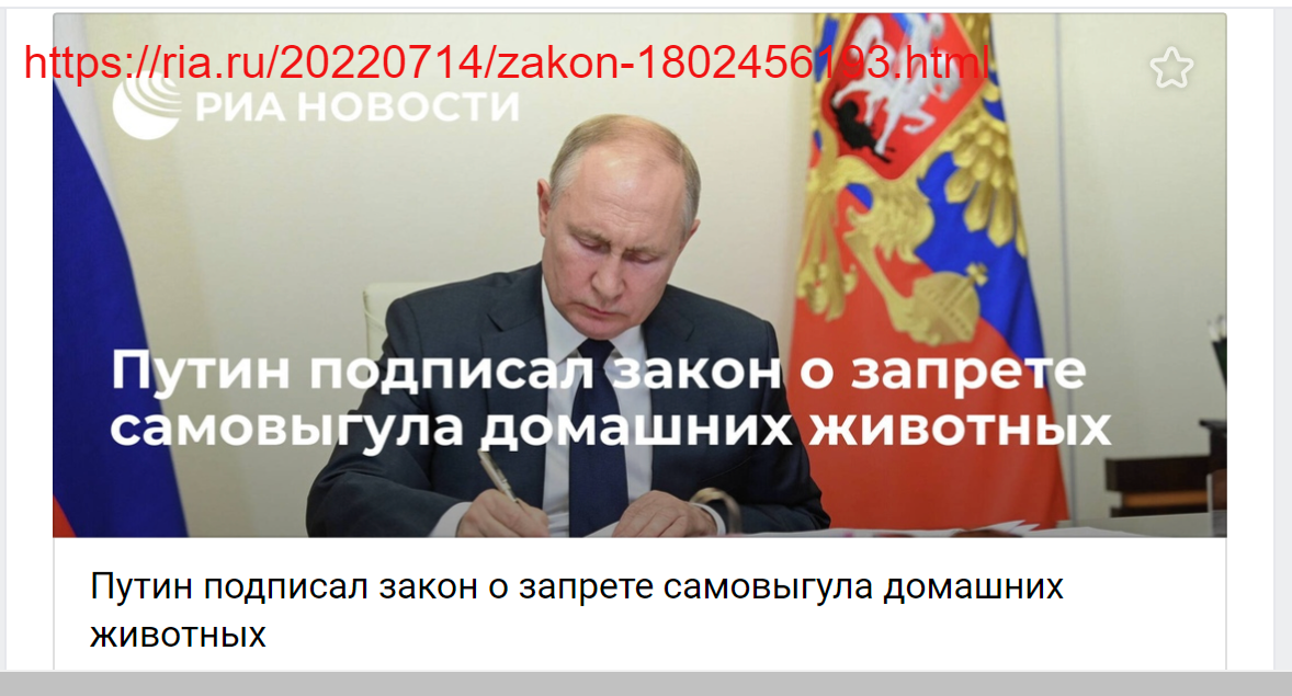 Велика ли разница между феминистками и лесбиянками ?